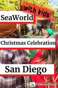 Guide to SeaWorld Christmas Celebration