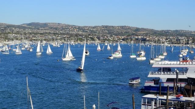 Newport beach sail boats near Balboa island