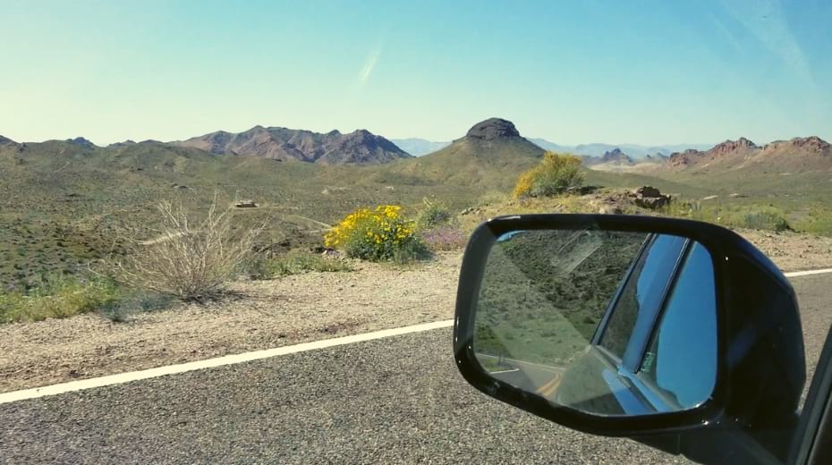 Route 66 in Arizona Springtime flowers