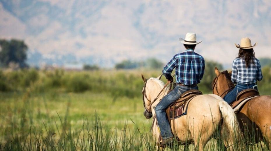 Riding horse in Texas