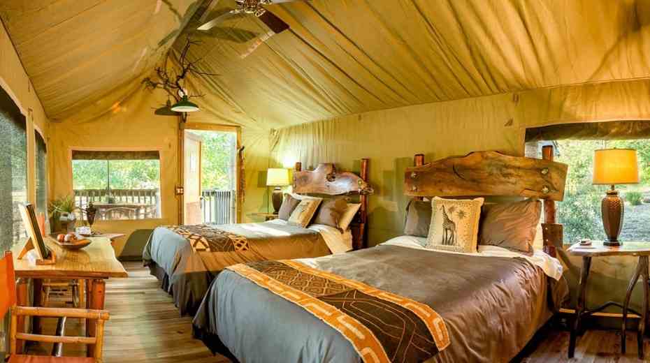 Glamping Bay Area: 5 Best sites near San Francisco