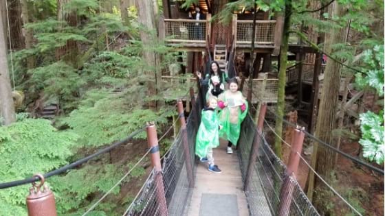 Tree tops adventure at Capilano Park Vancouver