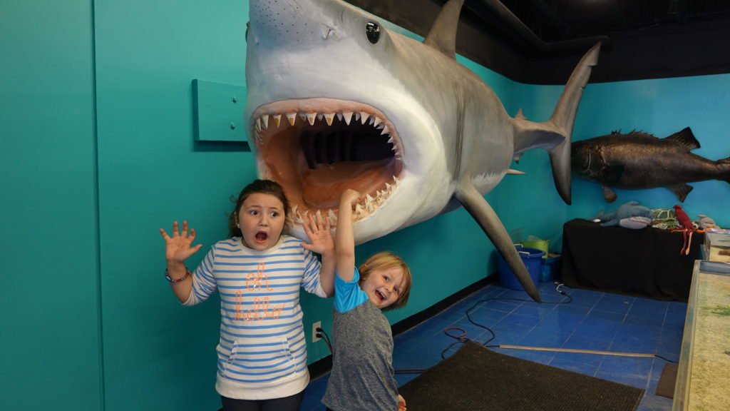 Cute kids with shark in Balboa ExplorOcean