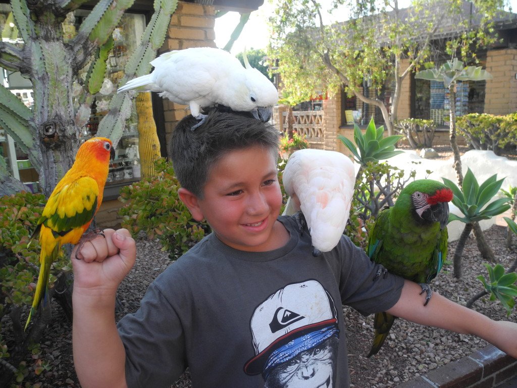 Seaport Village Bird holding with Kids