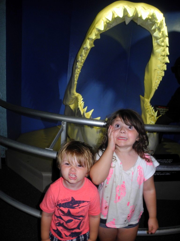 SeaWorld Kids with Sharks