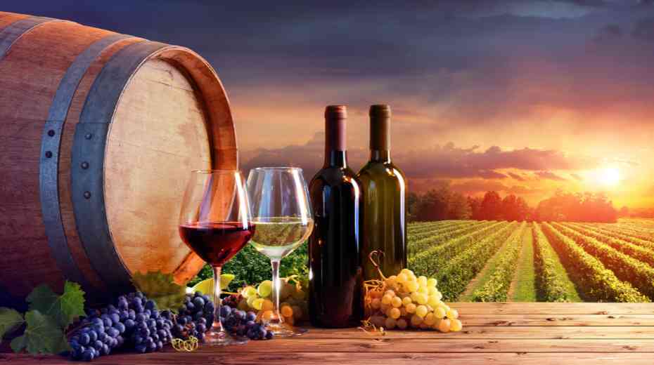 Best Family-Friendly Wineries
