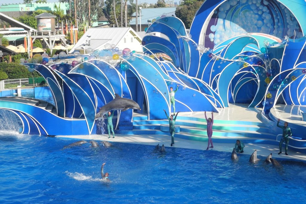 Dolphin Days SeaWorld San Diego