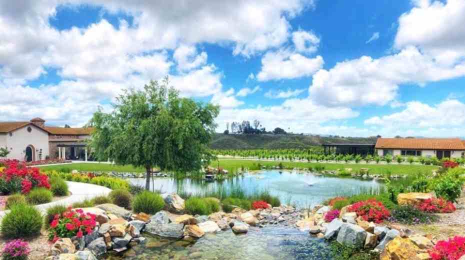 Truffle Pig Winery