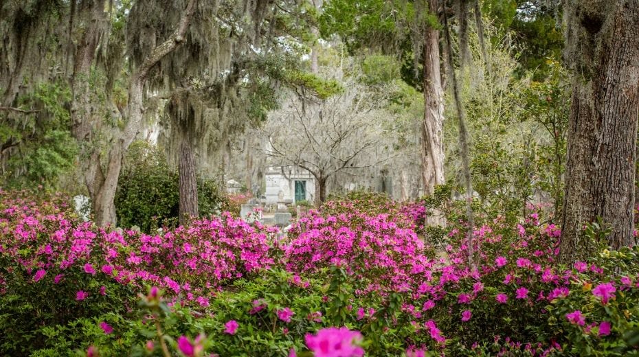 Bonaventure Cemetery visiting Savannah with kids