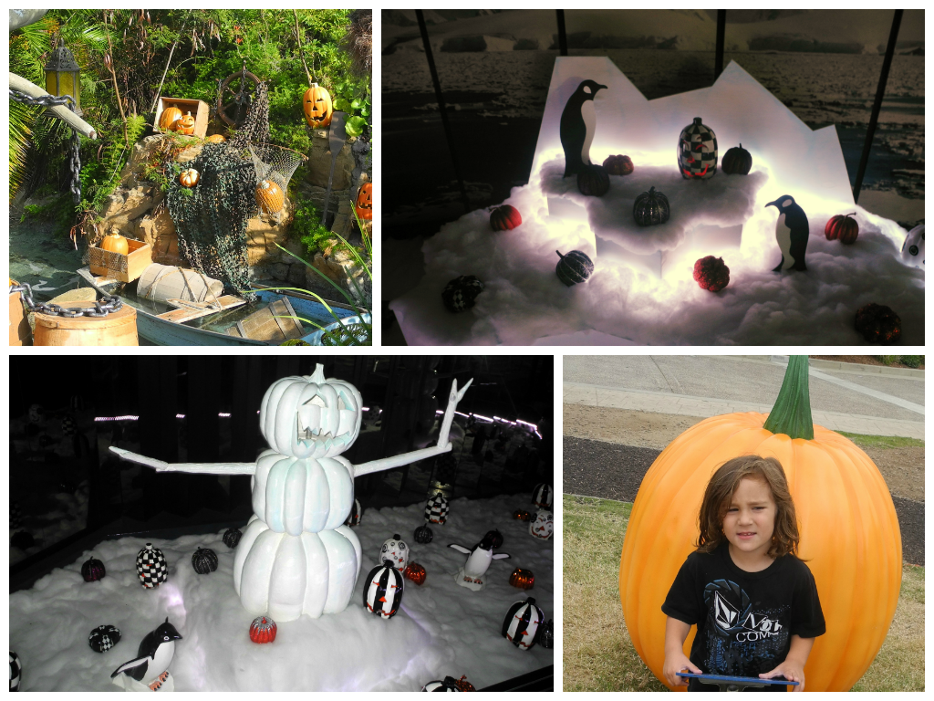 SeaWorld Halloween