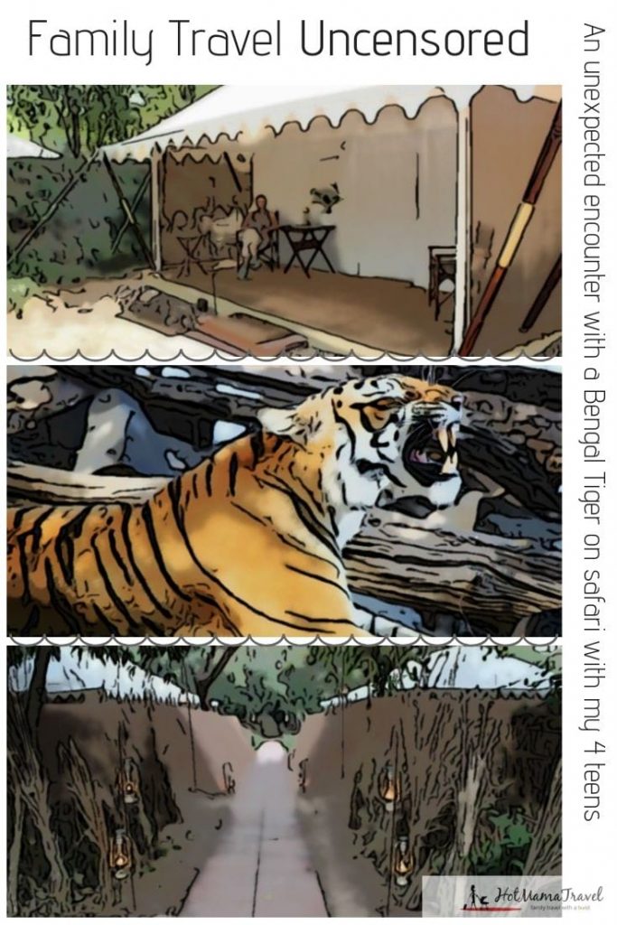 An unexpected encounter with a real-life Bengal Tiger on safari with my 4 teens