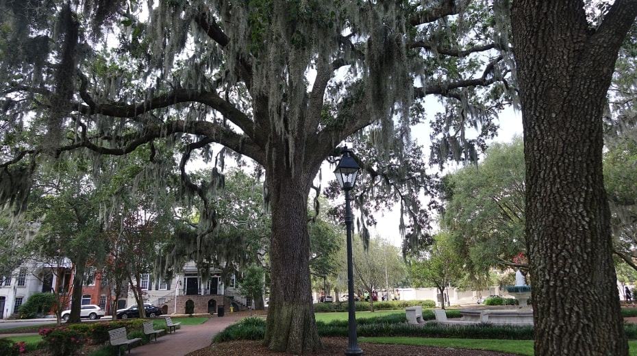 Historic Savannah District squares