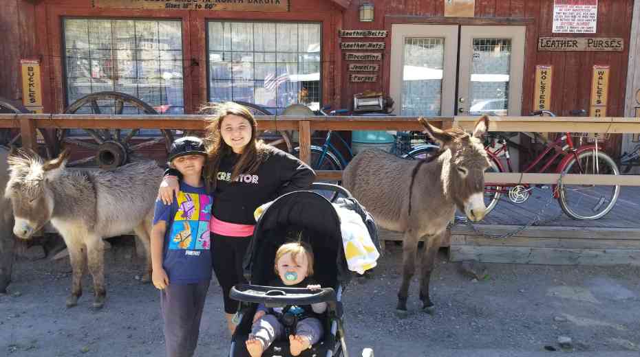 Wild Burros in Oatman Arizona