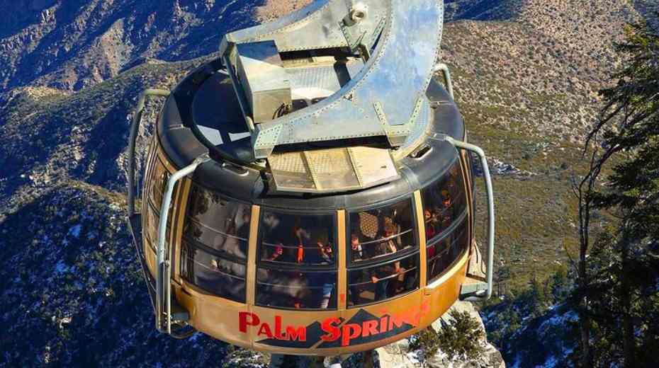Unforgettable Palm Springs Tours that Families will Love