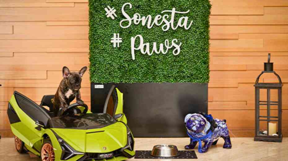 Pet friendly Redondo Beach Hotel Sonesta