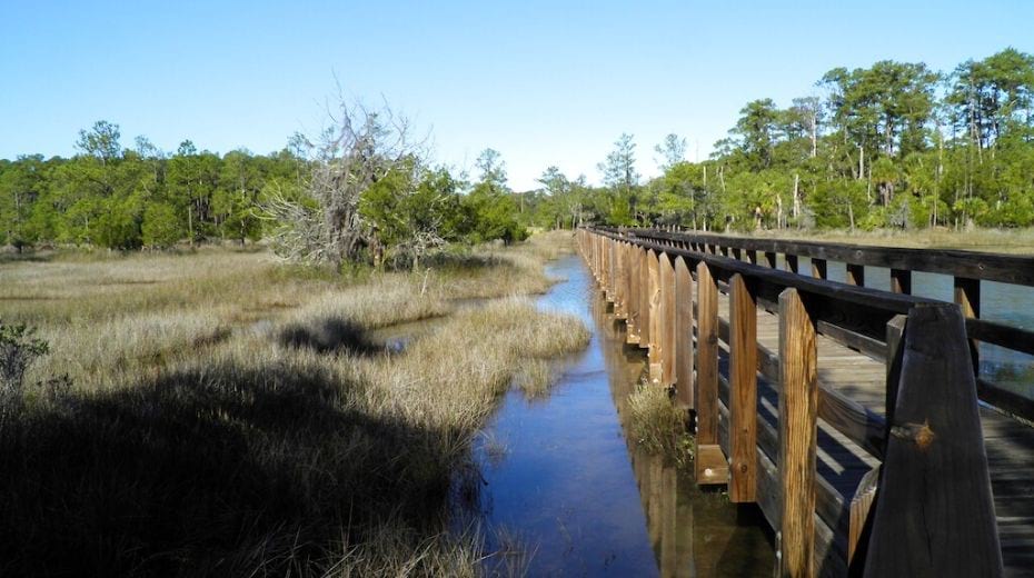 Things to do in Savannah with kids Skidaway Island State Park trails