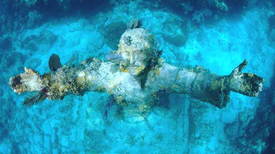 snorkeling during babymoon in florida keys