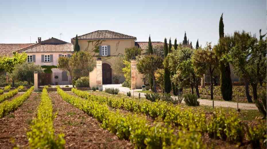 Somerset Vineyard & Winery