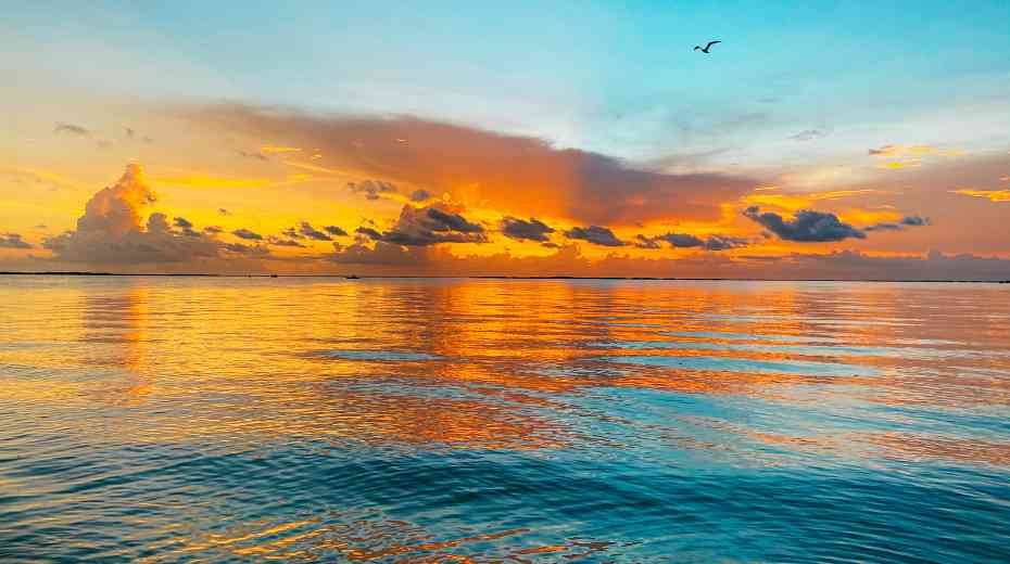 babymoon sunset cruise if florida keys