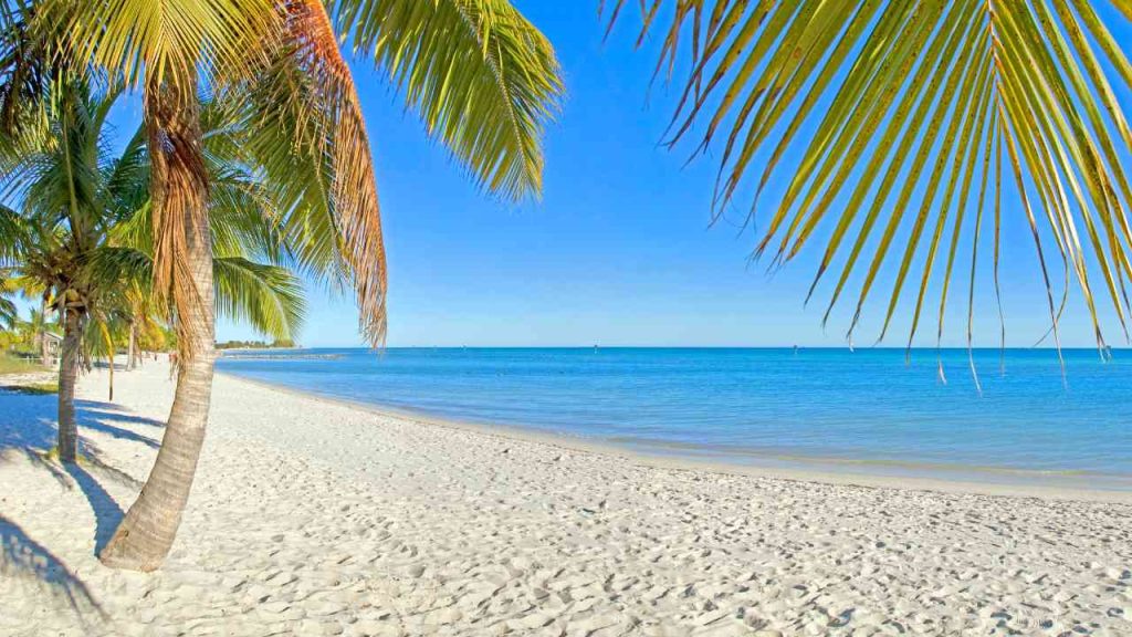 Family Travel Guide for things to do in Key West with kids